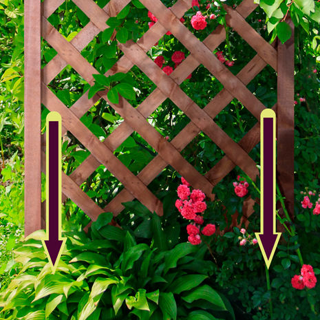 IvoQ Houten Trellisschermen – Set van 2 | Klimrek voor Planten | 183x63 cm | FSC Gecertificeerd Vurenhout