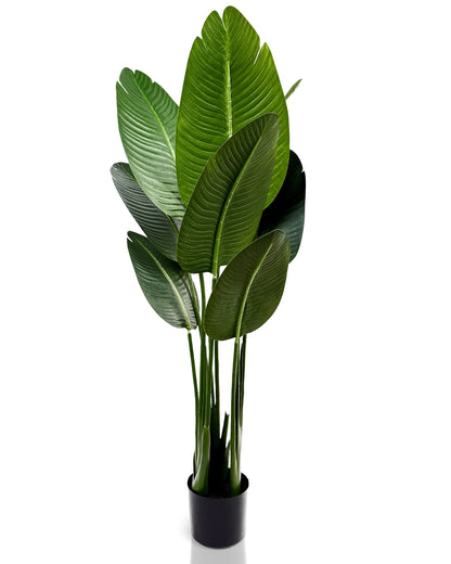 IvoQ Strelitzia Kunstplant 120 cm