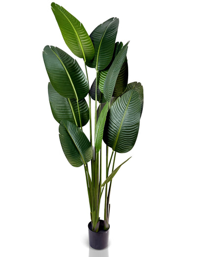 IvoQ Strelitzia Kunstplant 180 cm
