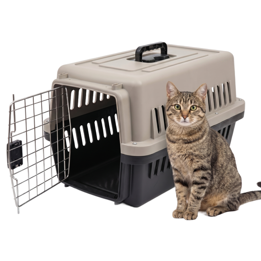 IvoQ Reismand Kat M – 58x37x36 cm – Crème/Antraciet