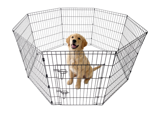 IvoQ Puppyren - 8 Panelen (76x61 cm) - Zwart