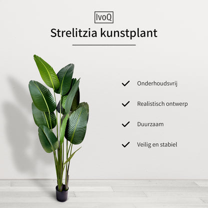 IvoQ Strelitzia Kunstplant 180 cm