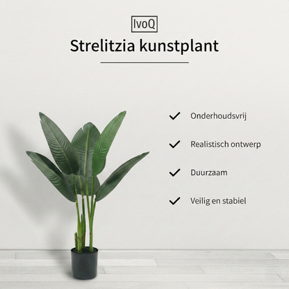 IvoQ Strelitzia Kunstplant 80 cm