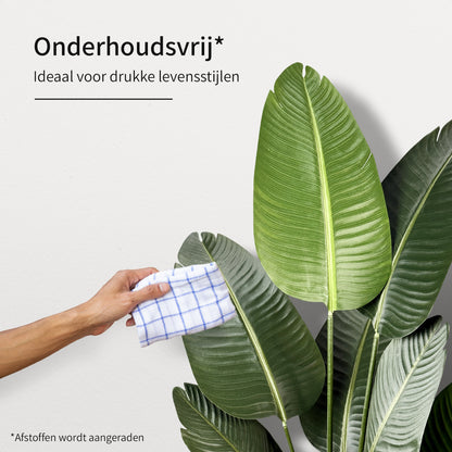 IvoQ Strelitzia Kunstplant 120 cm
