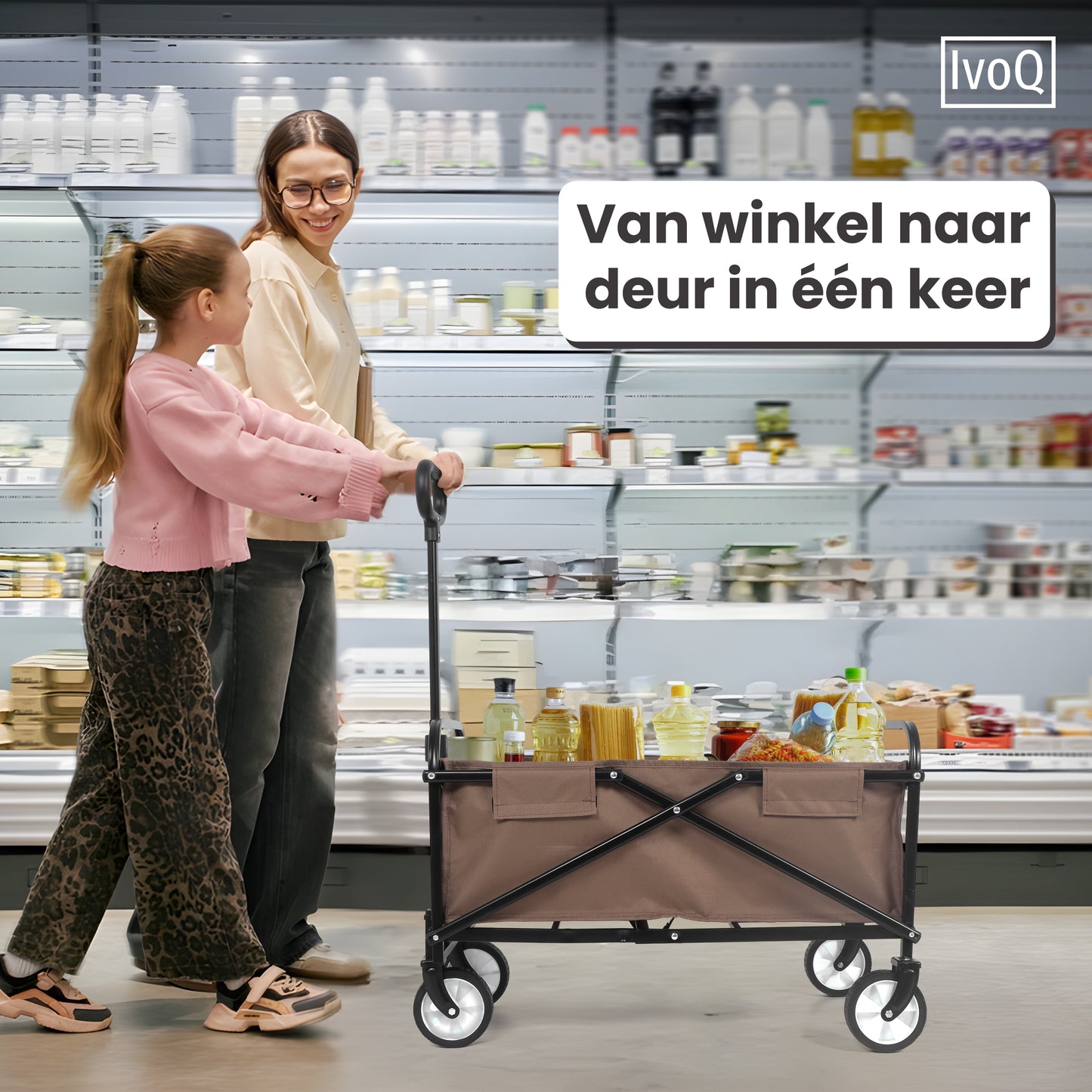 IvoQ Bolderkar Bruin-IvoQ