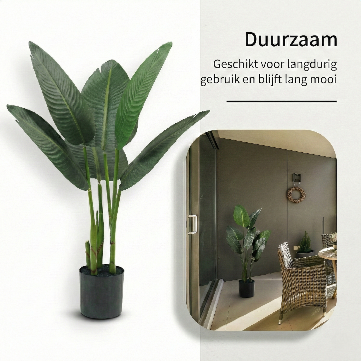 IvoQ Strelitzia Kunstplant 80 cm