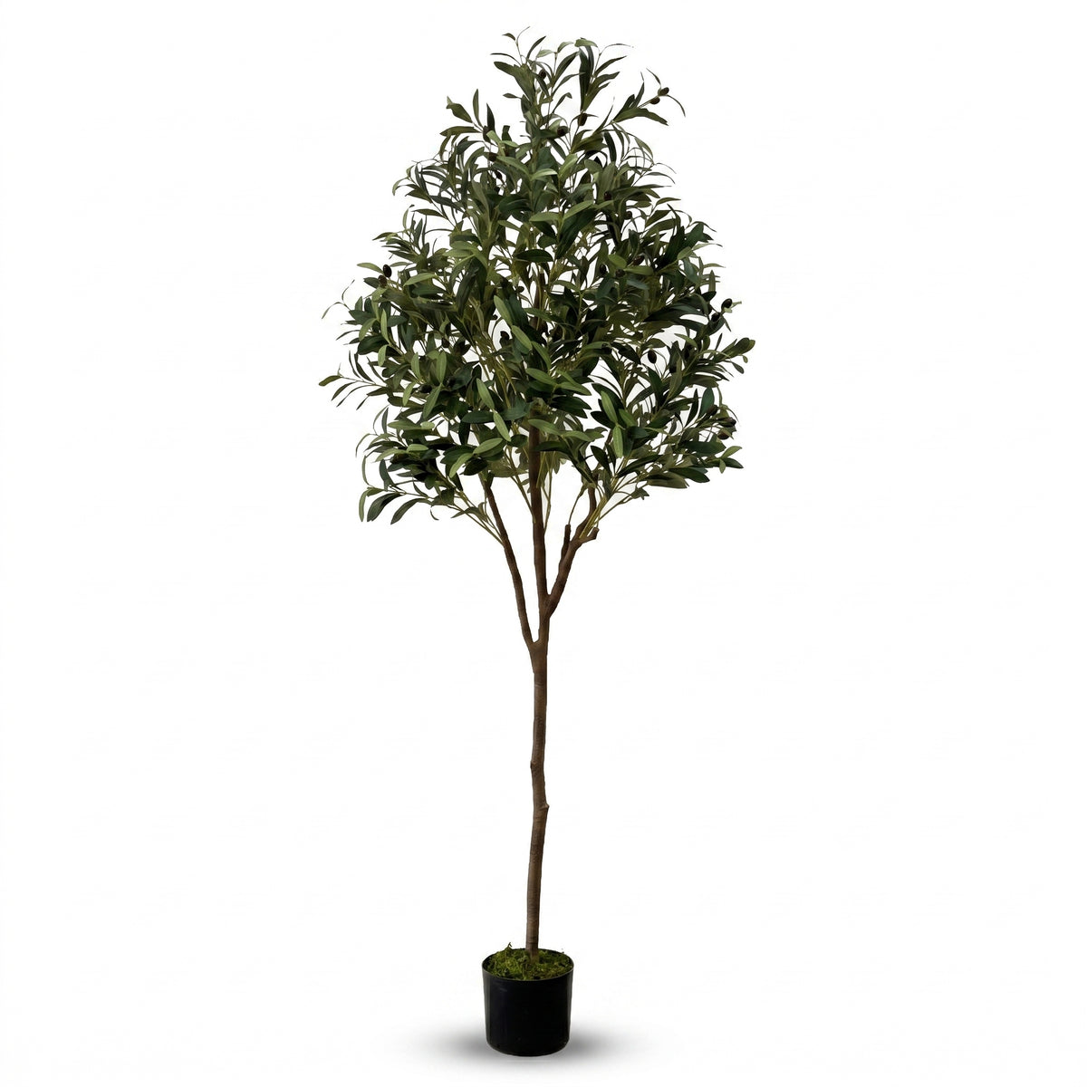 IvoQ Kunst Olijfboom 180 cm - Realistische Kunstplant met Pot en Olijven