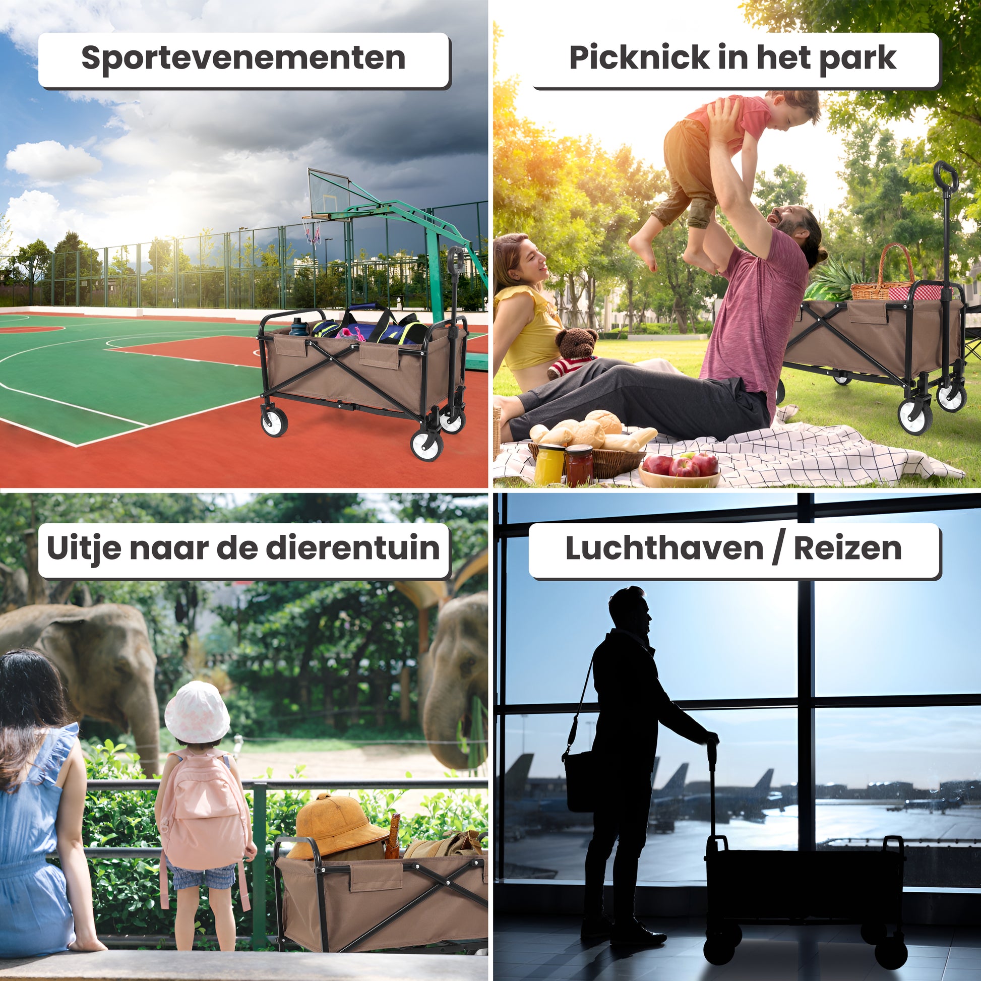 IvoQ Bolderkar Bruin-IvoQ