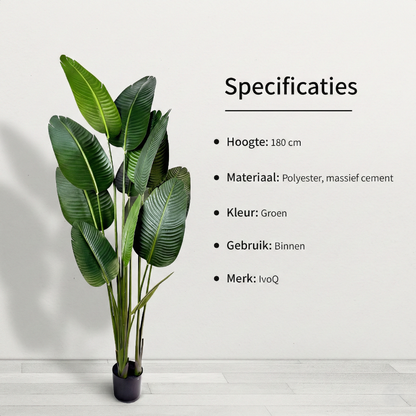 IvoQ Strelitzia Kunstplant 180 cm