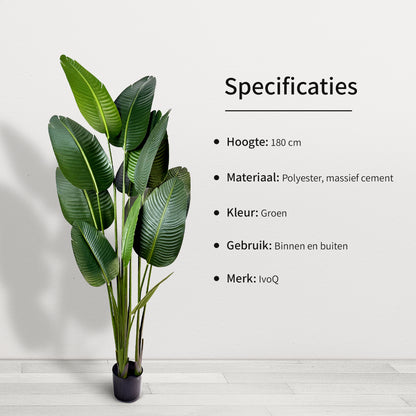 IvoQ Strelitzia Kunstplant 180 cm