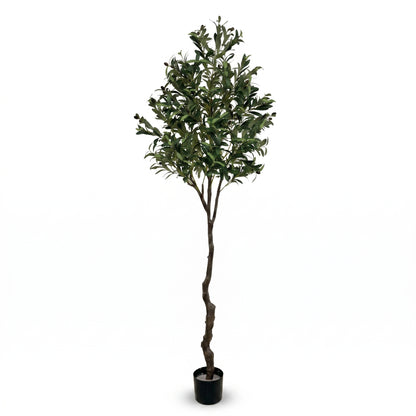 IvoQ Kunst Olijfboom 210 cm - Realistische XL Kunstplant met Olijven
