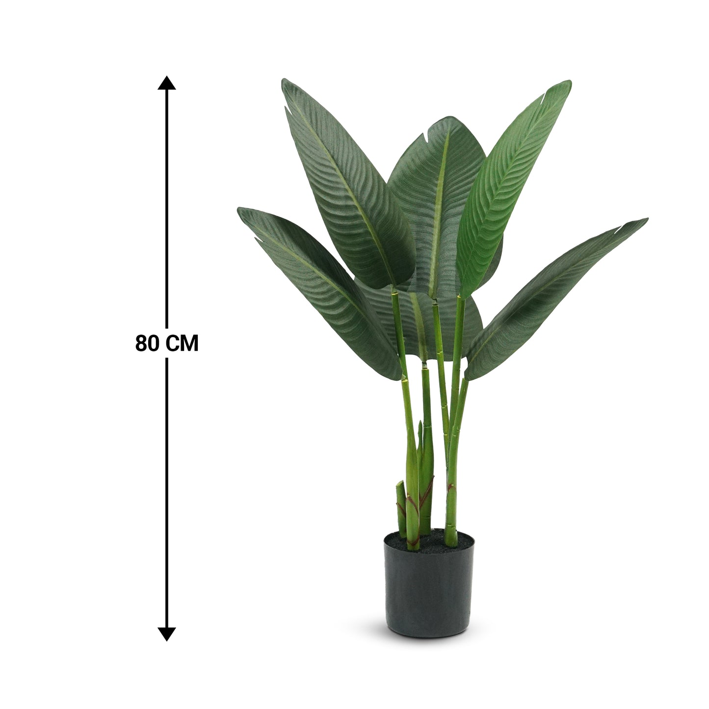 IvoQ Strelitzia Kunstplant 80 cm – Realistisch en Onderhoudsvrij