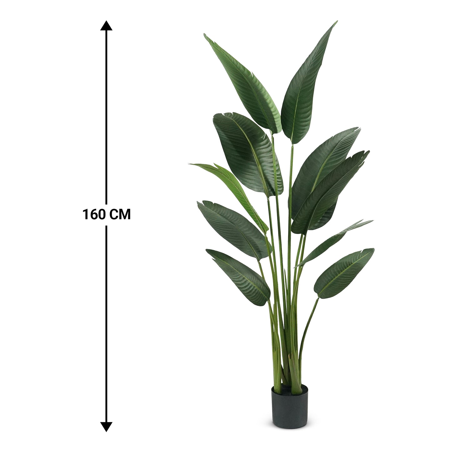 IvoQ Strelitzia Kunstplant - 160 cm - Realistisch & Onderhoudsvrij