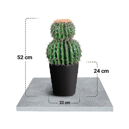 IvoQ Kunst Cactus 50 cm
