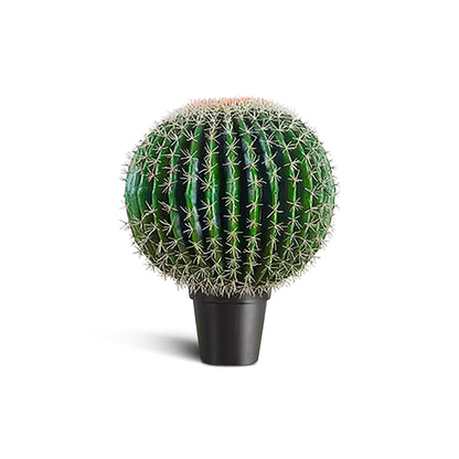 IvoQ Kunst Cactus 55 cm