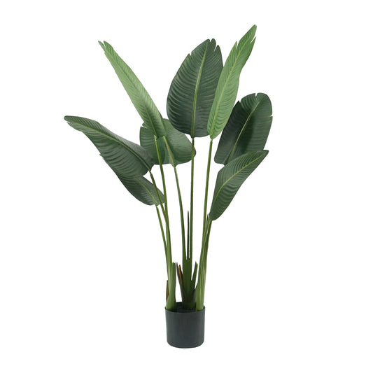 IvoQ Strelitzia Kunstplant 120 cm – Duurzaam, Realistisch, Stijlvol en Onderhoudsvrij