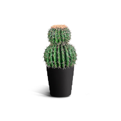 IvoQ Kunst Cactus 50 cm