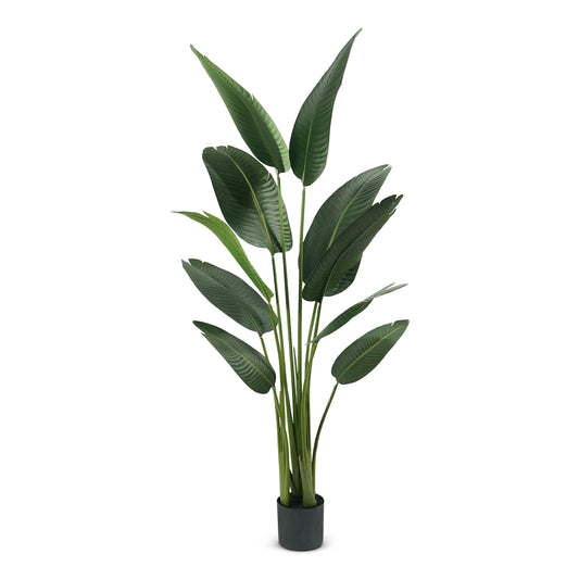 IvoQ Strelitzia Kunstplant - 160 cm - Realistisch & Onderhoudsvrij