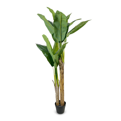 IvoQ Kunst Bananenplant 160 cm