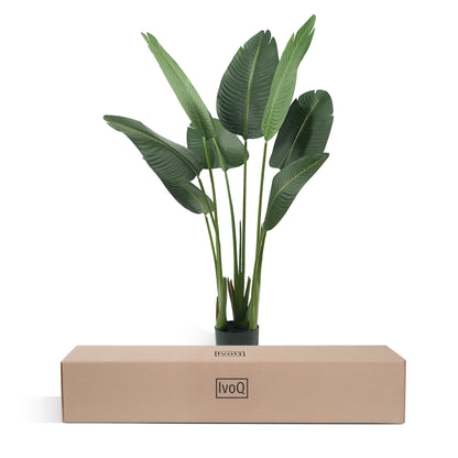 IvoQ Strelitzia Kunstplant 120 cm