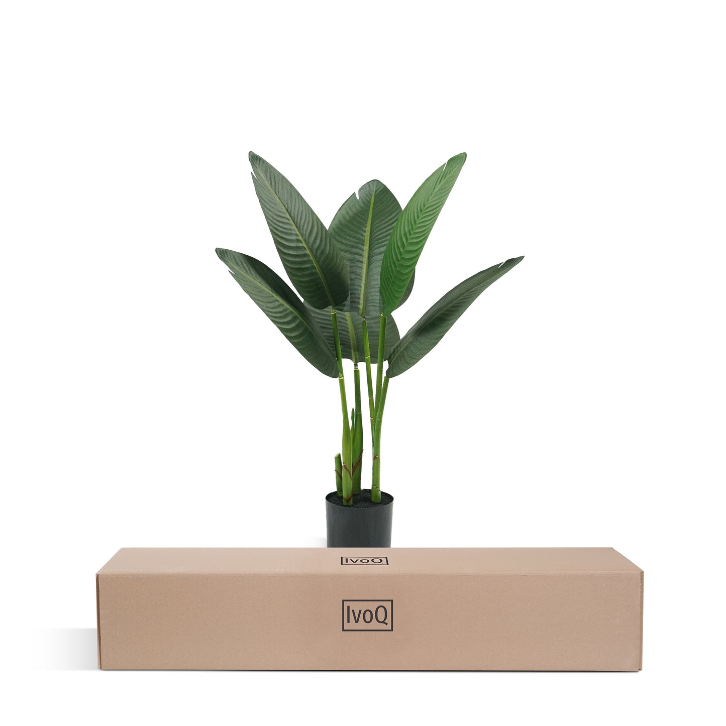 IvoQ Strelitzia Kunstplant 80 cm – Realistisch en Onderhoudsvrij