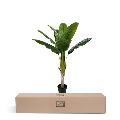 IvoQ Kunst Bananenplant 120 cm