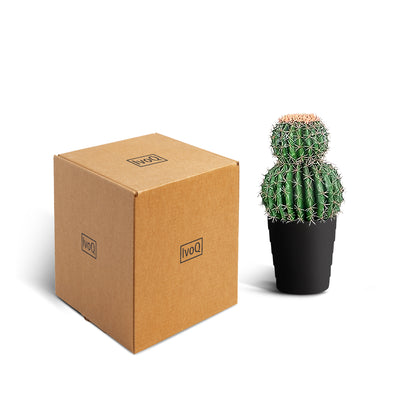IvoQ Kunst Cactus 50 cm