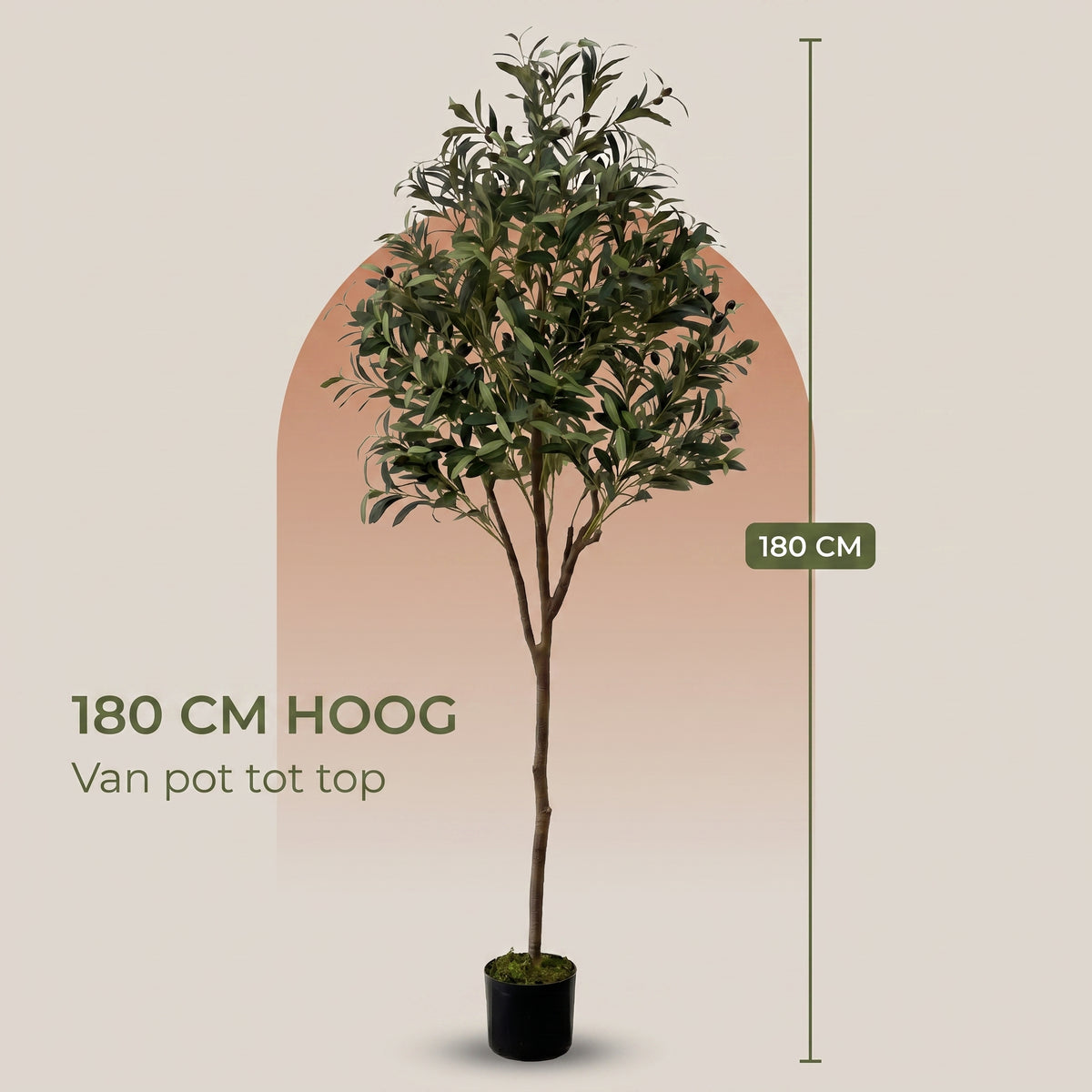 IvoQ Kunst Olijfboom 180 cm - Realistische Kunstplant met Pot en Olijven