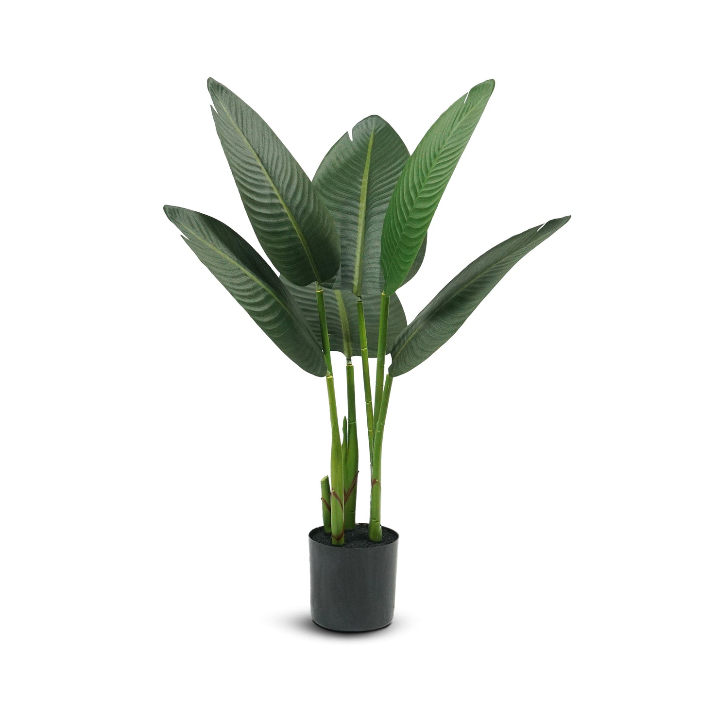 IvoQ Strelitzia Kunstplant 80 cm – Realistisch en Onderhoudsvrij