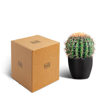IvoQ Kunst Cactus 25 cm