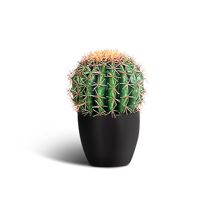 IvoQ Kunst Cactus 25 cm